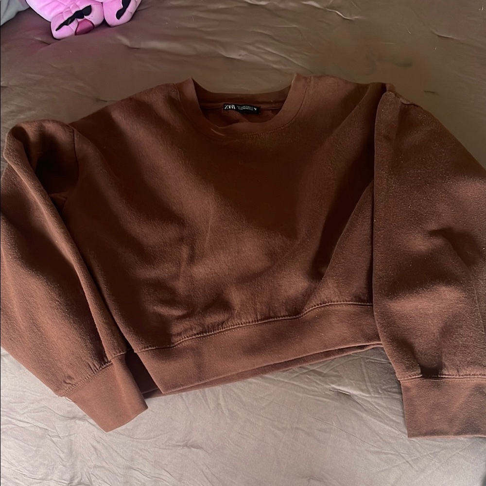 Zara Brown Crew Neck Sweater Cozy and Casual